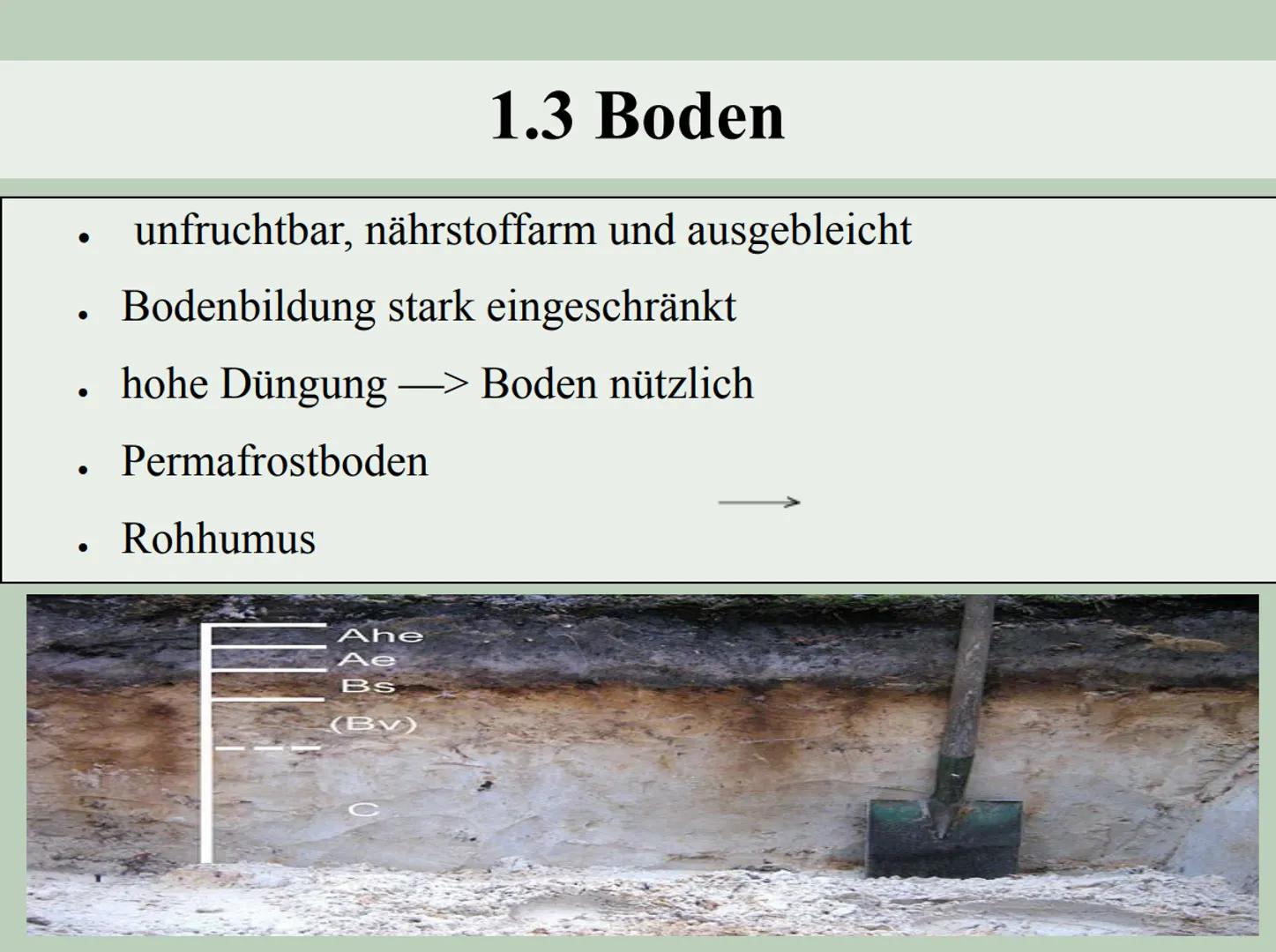 Welche ökologischen Folgen hat der
Rohstoffabbau in Fort McMurray?
CEL 1.
boreale Nadelwaldzone
1.1 Klima
1.2 Lage & Verbreitung
1.3 Boden
1