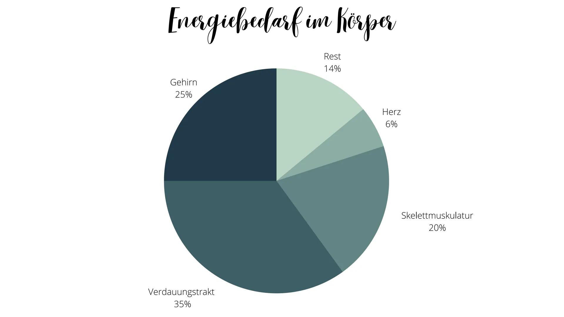 000
Ernährung 01 Die Bedeutung der Nahrung
02 Hauptnährstoffe
03 Ergänzungsstoffe
04 Gesunde Ernährung Die Bedeutung der Ernährung
- Körper 