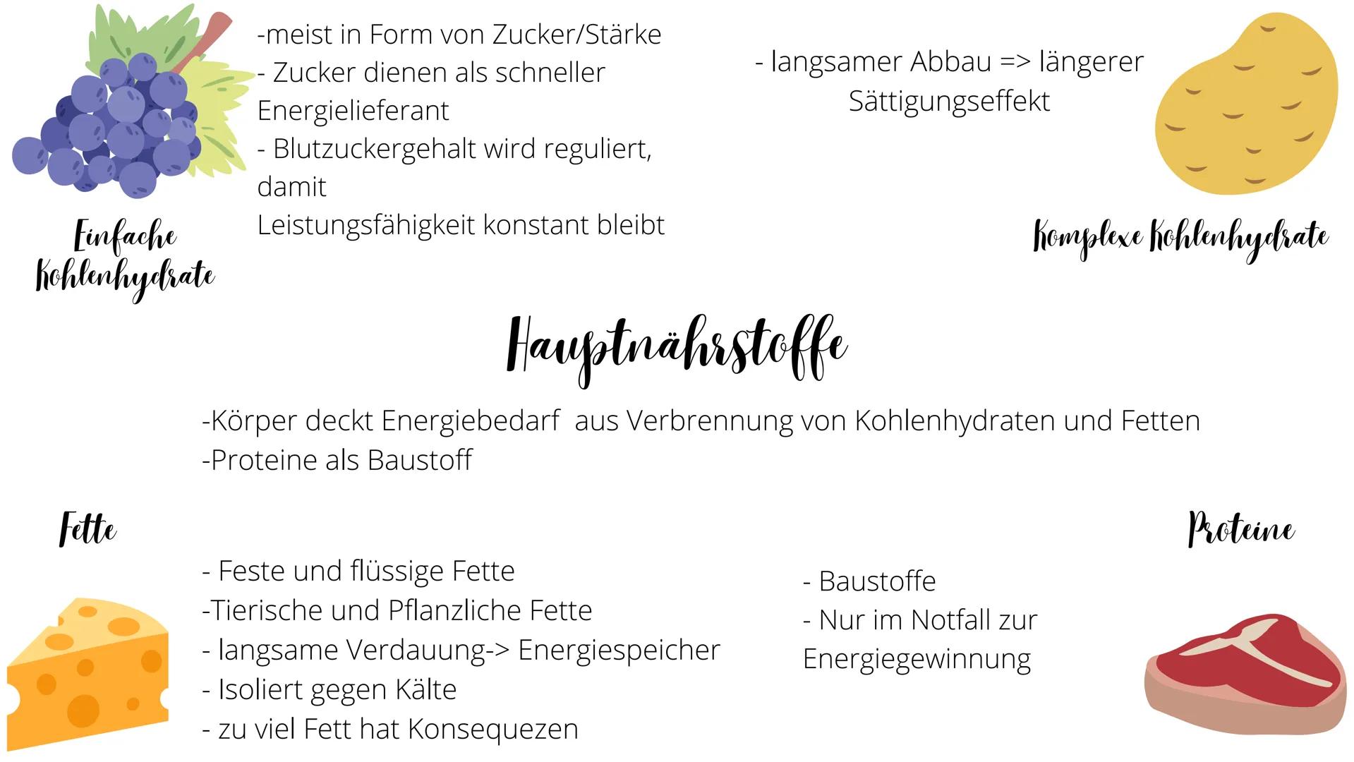 000
Ernährung 01 Die Bedeutung der Nahrung
02 Hauptnährstoffe
03 Ergänzungsstoffe
04 Gesunde Ernährung Die Bedeutung der Ernährung
- Körper 