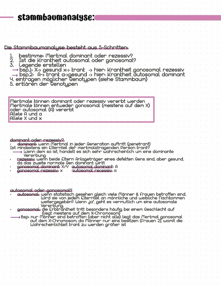 Know Stammbaumanalyse-Genetik  thumbnail