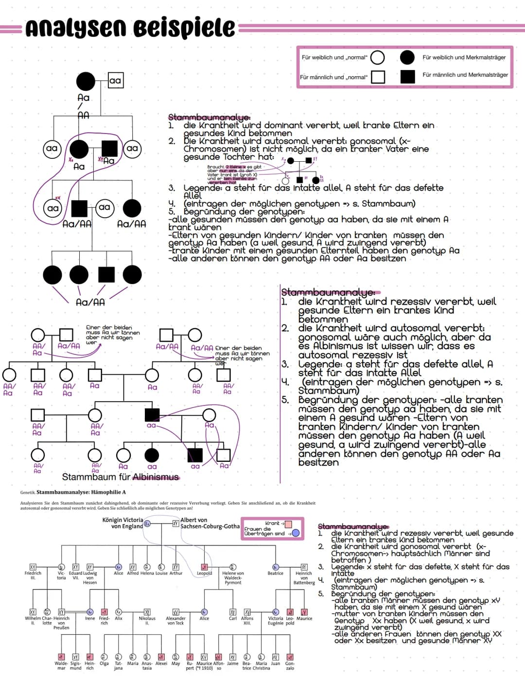 stammbaumanalyse:
Die Stammbaumanalyse besteht aus 5-Schritten:
1. bestimme: Merkmal dominant oder rezessiv?
2. Ist die Krankheit autosomal 