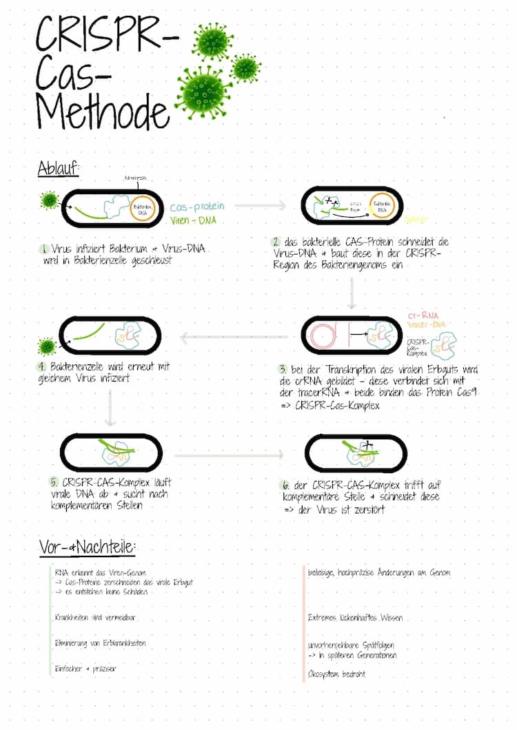 Know Crispr- cas-methode thumbnail