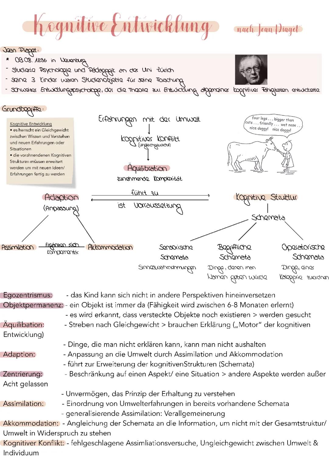 Kognitive Entwicklung nach Jean Piaget