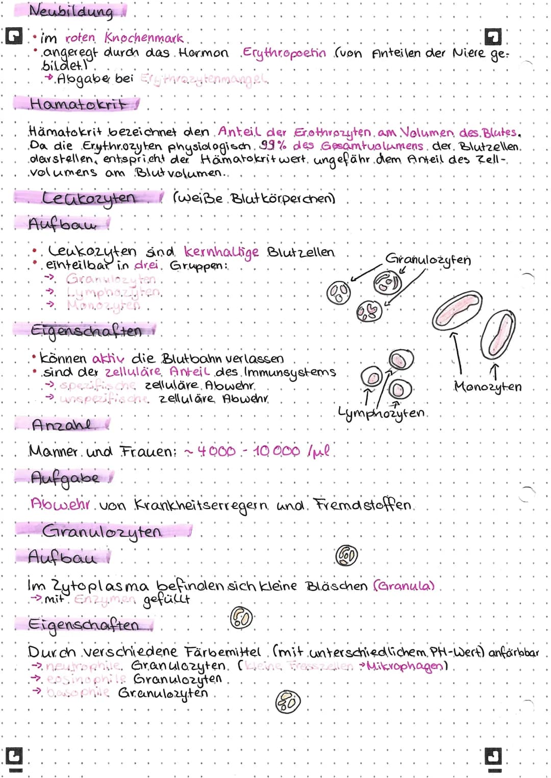 Blut
Zusammensetzung des Blutes.
45% Blutzellen
feste Bestandteile
Erythrozyten
~ 5.mio ljub
Transport
Granulozyten
Lymphozyten
Monozyten
Ab