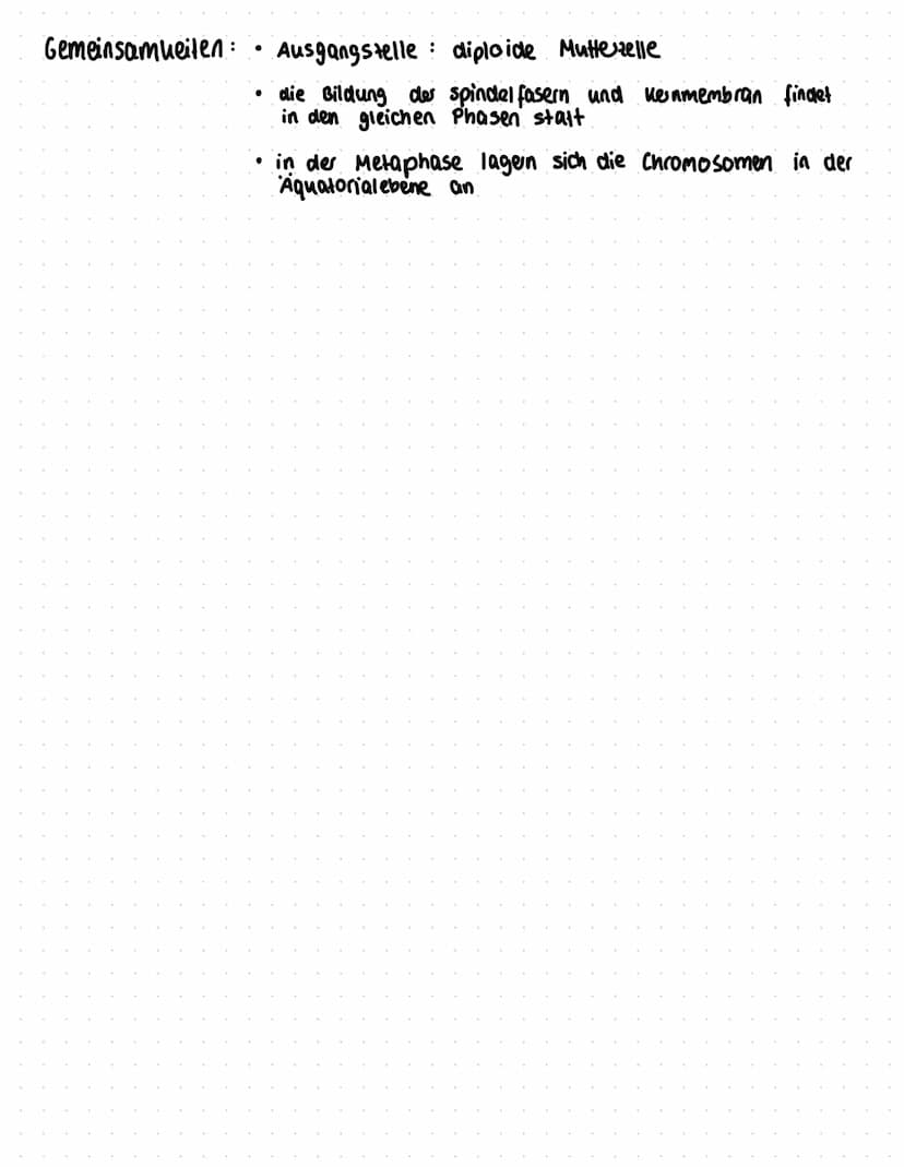 Zellmembran
centriolen
ZELLTEILUNG
Die Mitose (Teil des zenzyklus)
Kemmembran chromosomen,
verdoppelt
Zellpole (centriole)
jedes Chromosom
b