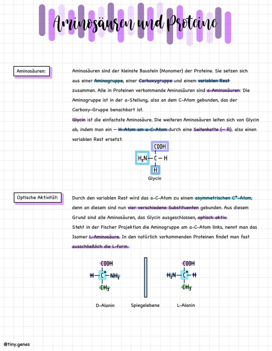 Aminosäuren, Peptide, Proteine