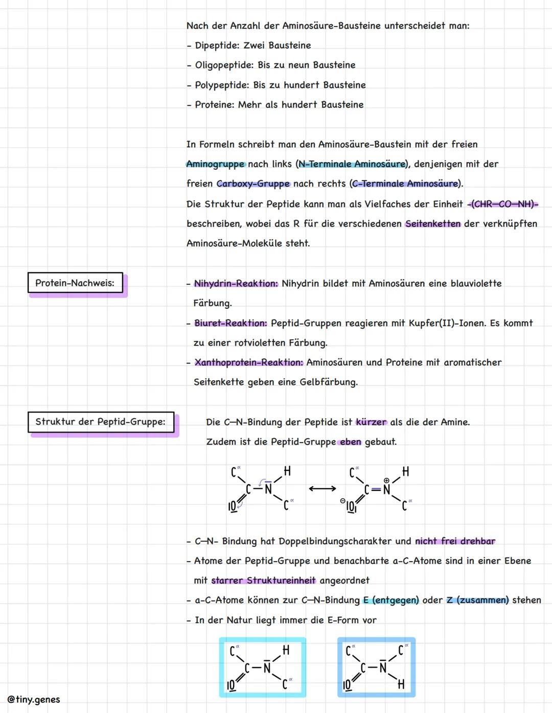 # Aminosäuren und Proteine

Aminosäuren:
Aminosäuren sind der kleinste Baustein (Monomer) der Proteine. Sie setzen sich
aus einer Aminogrupp