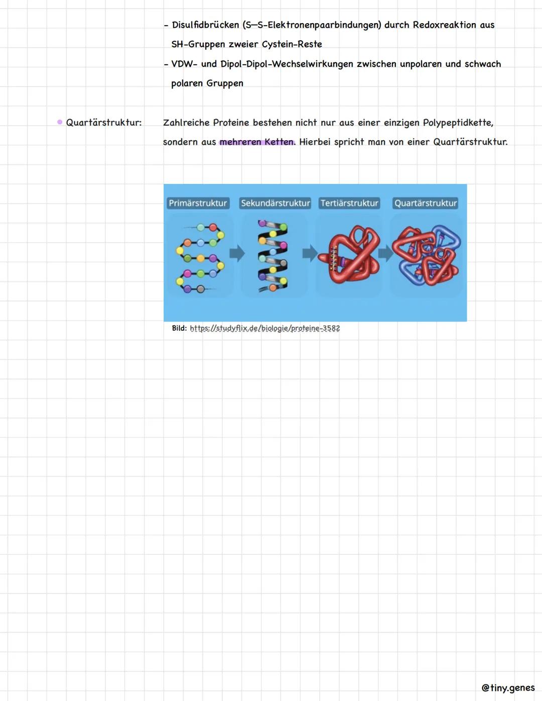 # Aminosäuren und Proteine

Aminosäuren:
Aminosäuren sind der kleinste Baustein (Monomer) der Proteine. Sie setzen sich
aus einer Aminogrupp