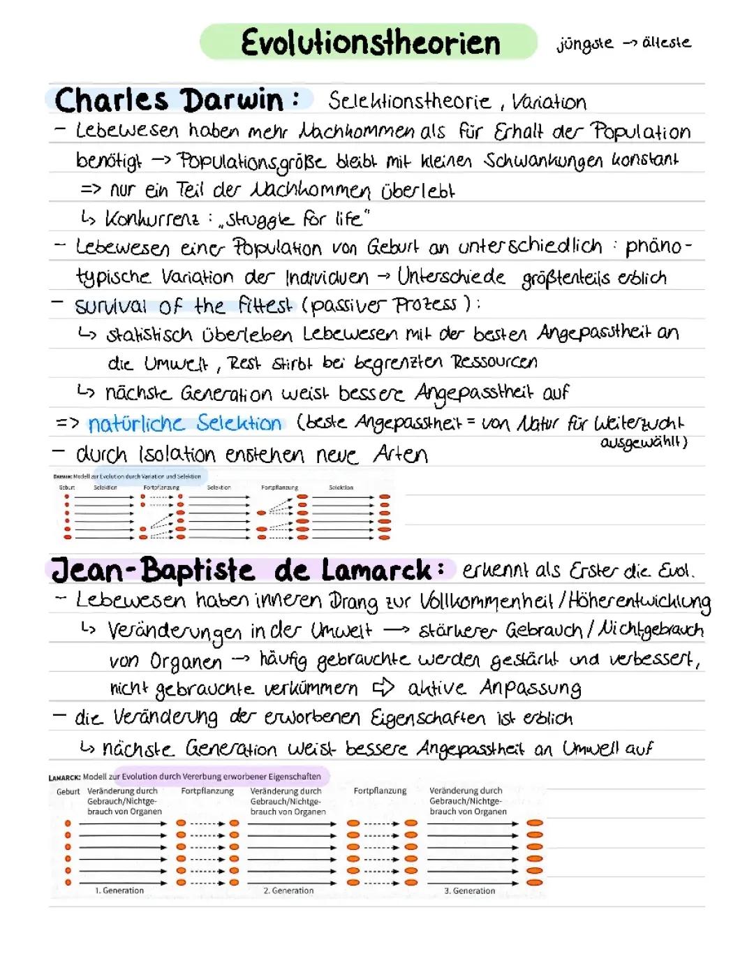 Einfache Zusammenfassung der Evolution des Menschen: Lamarck vs. Darwin erklärt