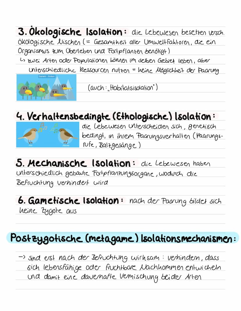 -
Charles Darwin: Selektionstheorie,
Variation
Lebewesen haben mehr Nachkommen als für Erhalt der Population
benötigt -> Populationsgröße bl