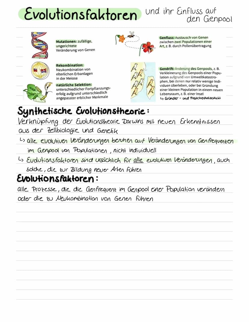-
Charles Darwin: Selektionstheorie,
Variation
Lebewesen haben mehr Nachkommen als für Erhalt der Population
benötigt -> Populationsgröße bl