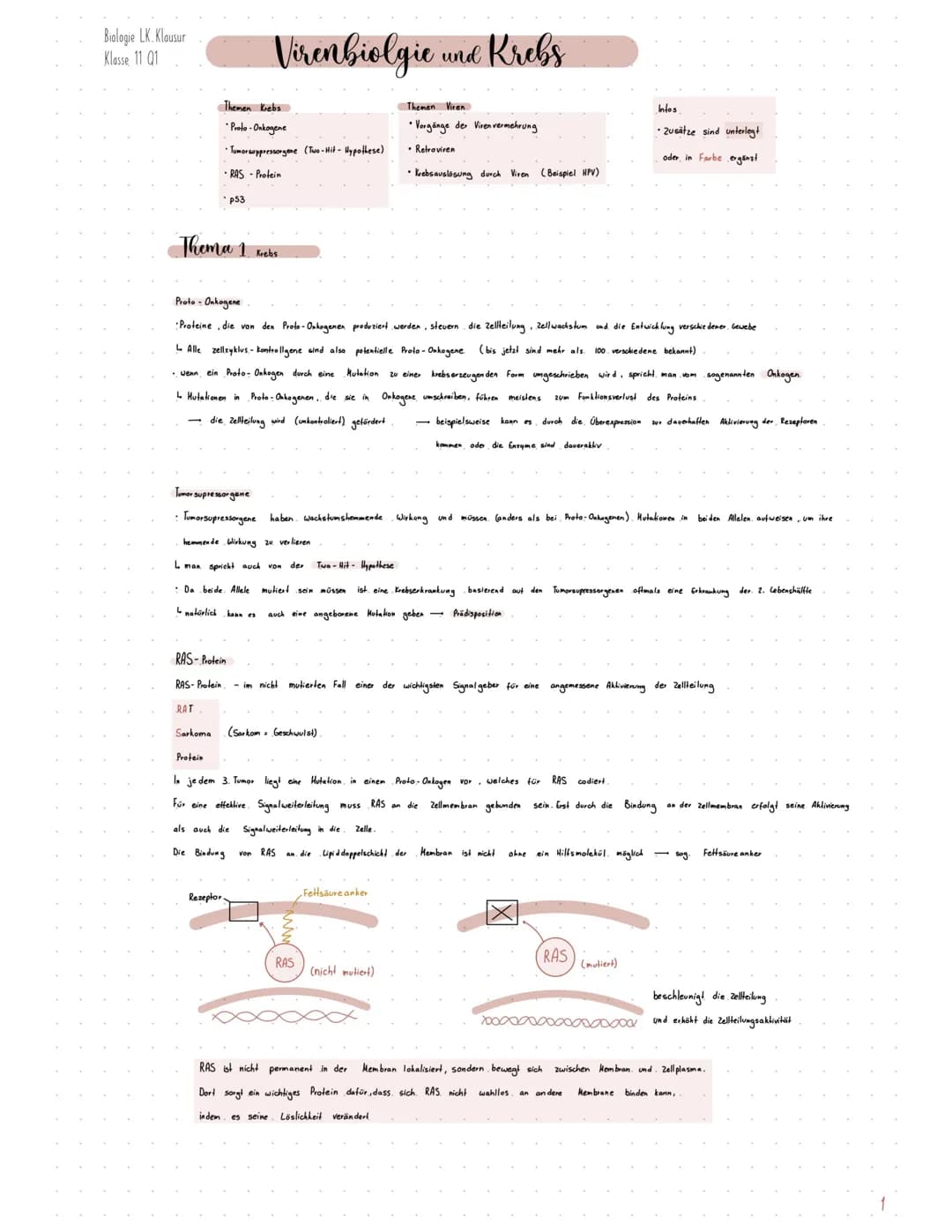 Biologie LK. Klausur
Klasse 11 Q1
Thema 1 Krebs
RAT
Virenbiolgie.
Themen Krebs
•Proto-Onkogene
•Tumor suppressorgene (Two-Hit- Hypothese)
RA