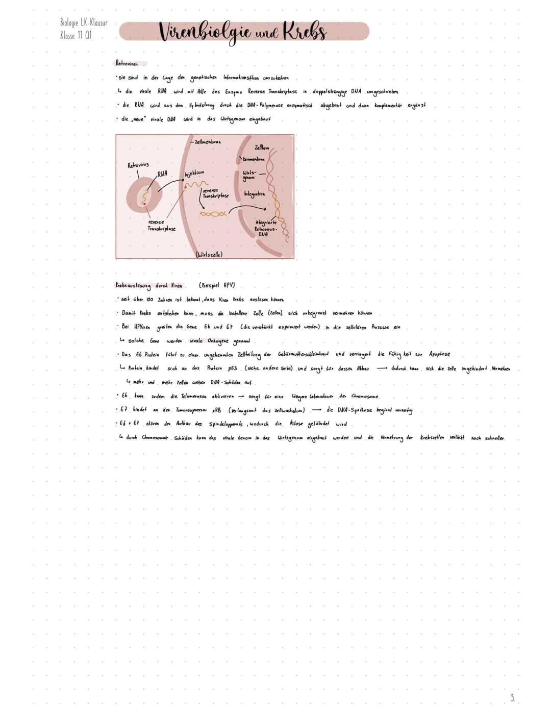 Biologie LK. Klausur
Klasse 11 Q1
Thema 1 Krebs
RAT
Virenbiolgie.
Themen Krebs
•Proto-Onkogene
•Tumor suppressorgene (Two-Hit- Hypothese)
RA