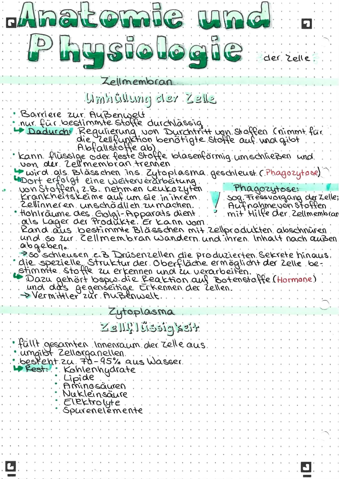 Anatomie und
Physiologie
Zellmembran
G
der Zelle
Umhüllung der Zelle
Barriere zur Außenwelt
nur für bestimmte Stoffe durchlässig
Dadurch: Re