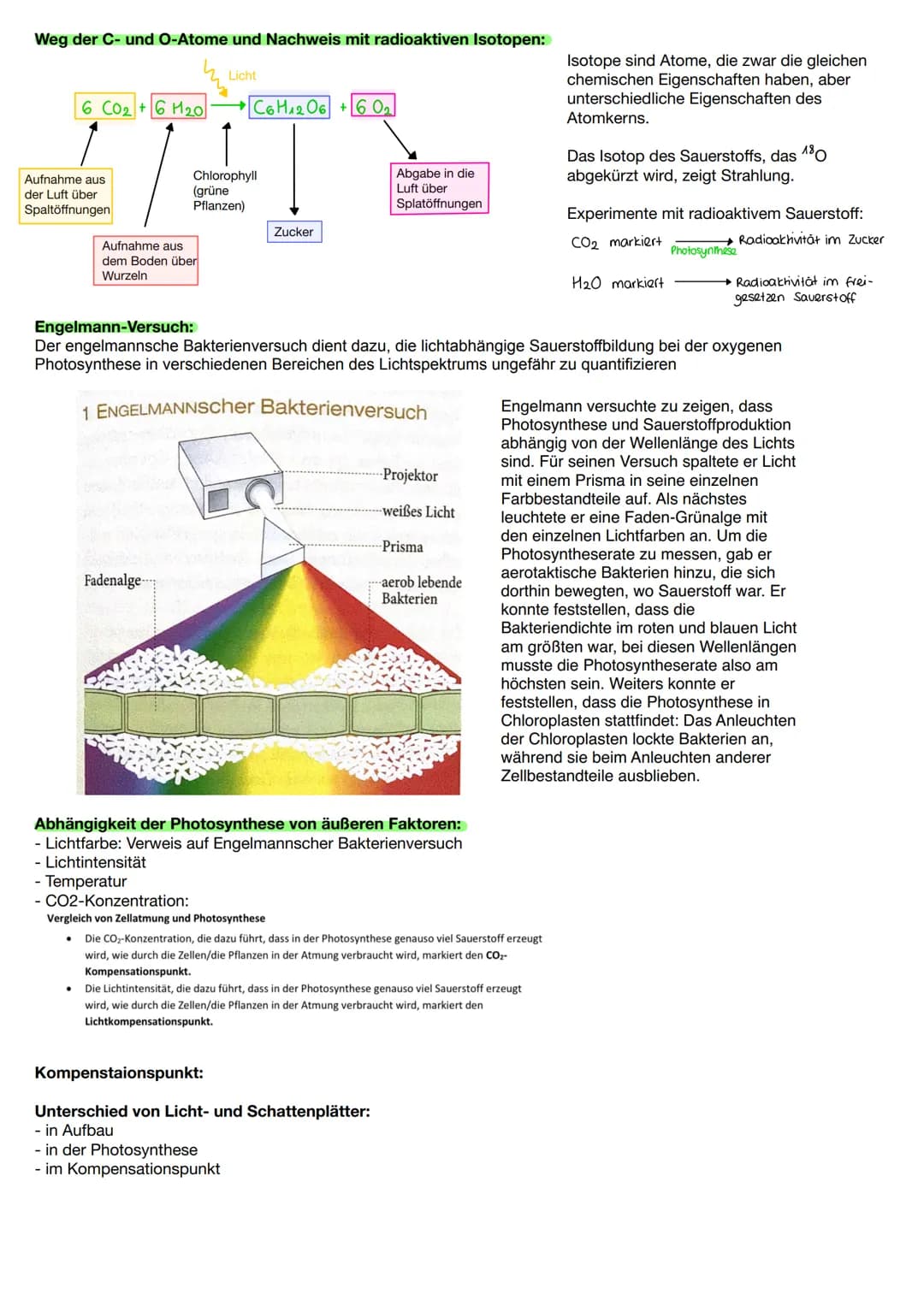 biologie klausur
photosynthese
Blattquerschnitt eines Laubblattes:
obere
Epidermis
Palisaden-
gewebe
Schwamm-
gewebe
untere
Epidermis
Aufnah