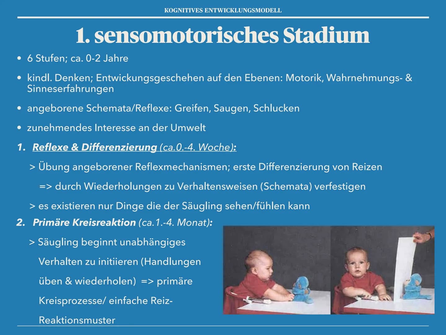Piagets Stufenmodell der kognitiven Entwicklung einfach erklärt