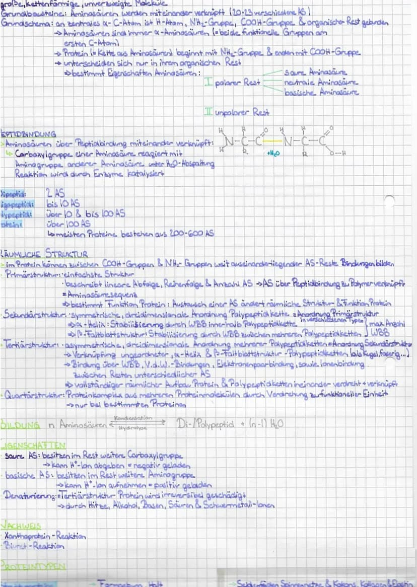 ZELLBIOLOGIE
L.BAU- & INHALTSSTOFFE DER ZELLE
WASSER
ELEMENTE
STRUKTUR
Tola
SH
Sauerstoff
O₂
.
Ho
Wasserstoff
H
S
$
• H-Atome stehen in Wink