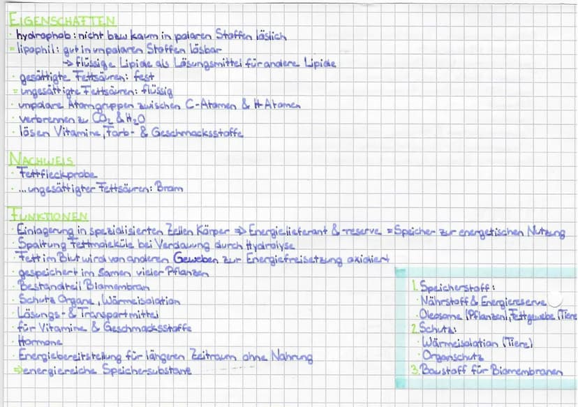 ZELLBIOLOGIE
L.BAU- & INHALTSSTOFFE DER ZELLE
WASSER
ELEMENTE
STRUKTUR
Tola
SH
Sauerstoff
O₂
.
Ho
Wasserstoff
H
S
$
• H-Atome stehen in Wink