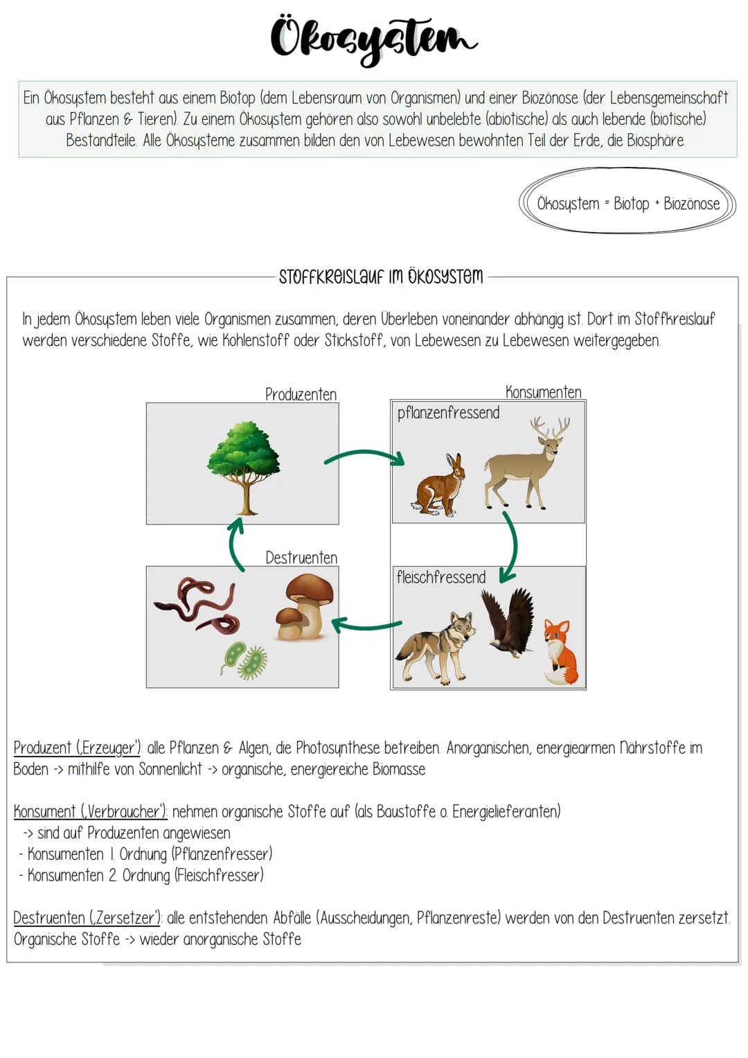 Biologie
ÖKOLOGIE Ökologie
Umweltfaktoren und ökologische
Potenz
Dynamik von Populationen
Stoffkreislauf und Energiefluss
Mensch und Ökosyst