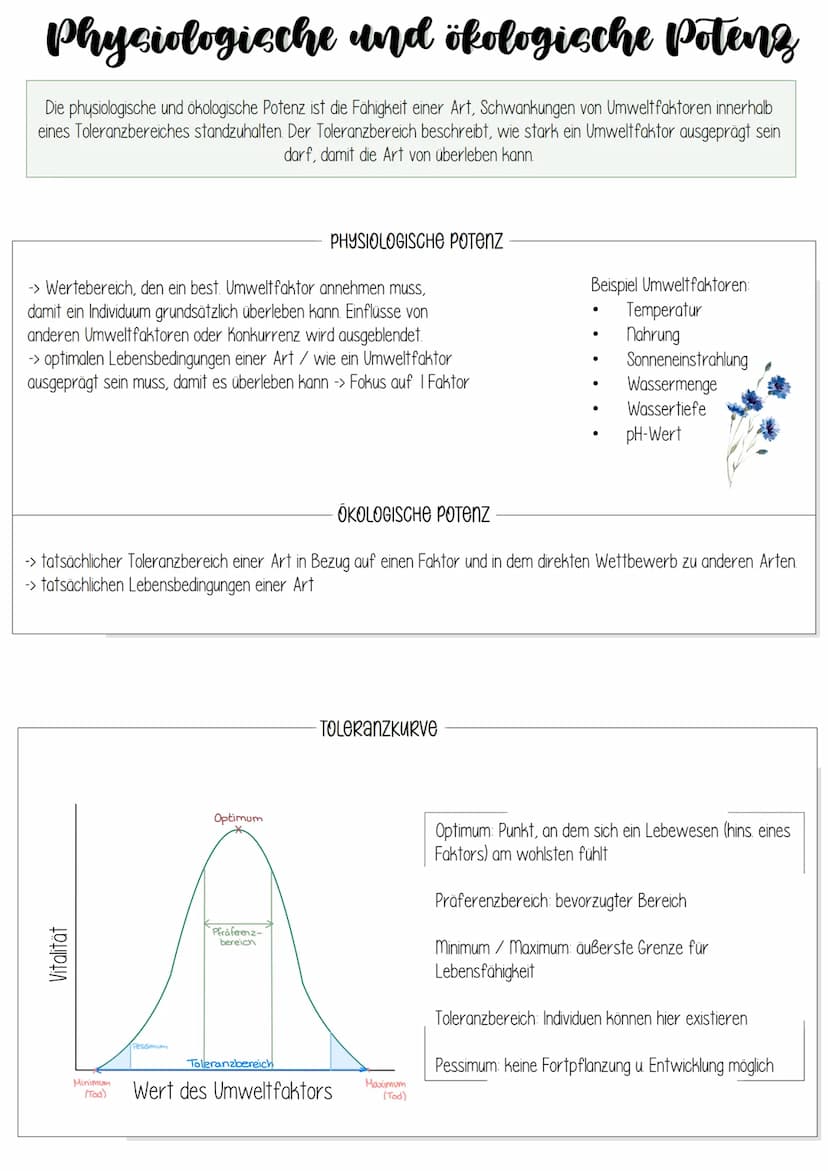 Biologie
ÖKOLOGIE Ökologie
Umweltfaktoren und ökologische
Potenz
Dynamik von Populationen
Stoffkreislauf und Energiefluss
Mensch und Ökosyst