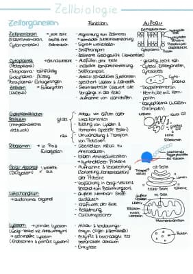 Know Abilernzettel Zellbiologie thumbnail