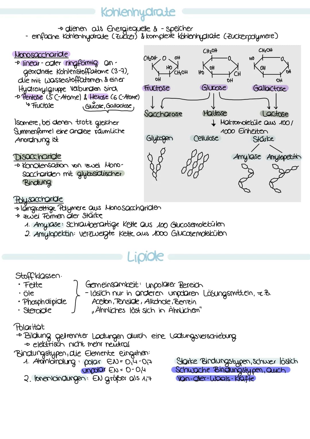 Zellorganellen
Zellmembran
(Plasmamembran, besitzt eine
→ jede Zelle
Cytomembran) Zellmembran
Cytoplasma
(Protoplasma)
Ektoplasma zähflüssig