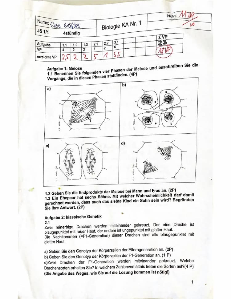 Know Bio Klausur / Genetik /  thumbnail