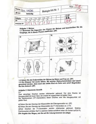 Know Bio Klausur / Genetik /  thumbnail