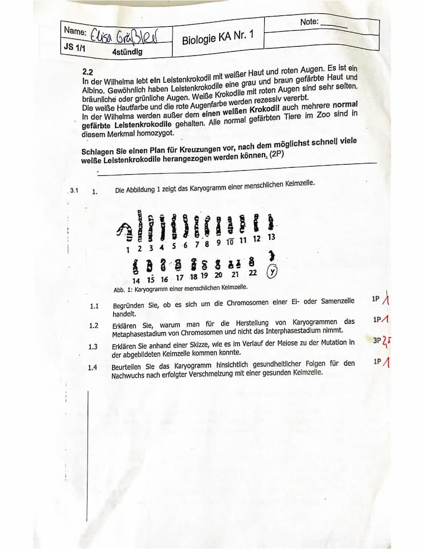 Name: Elisa Grobler
JS 1/1
4stündig
Aufgabe
VP
1.1 1.2
4
a)
1.3
c)
Biologie KA Nr. 1
2.2
2
2.1
2 2
7
erreichte VP 2,52 25 15,5
3.1
6
Aufgabe