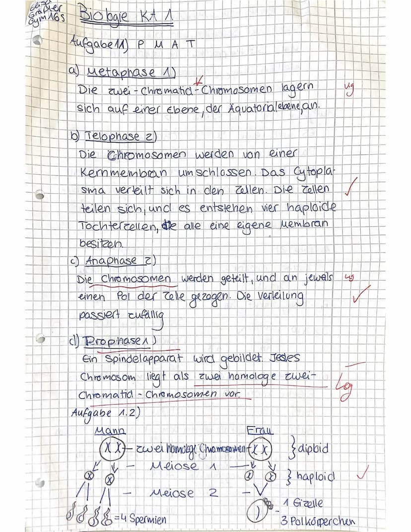 Name: Elisa Grobler
JS 1/1
4stündig
Aufgabe
VP
1.1 1.2
4
a)
1.3
c)
Biologie KA Nr. 1
2.2
2
2.1
2 2
7
erreichte VP 2,52 25 15,5
3.1
6
Aufgabe