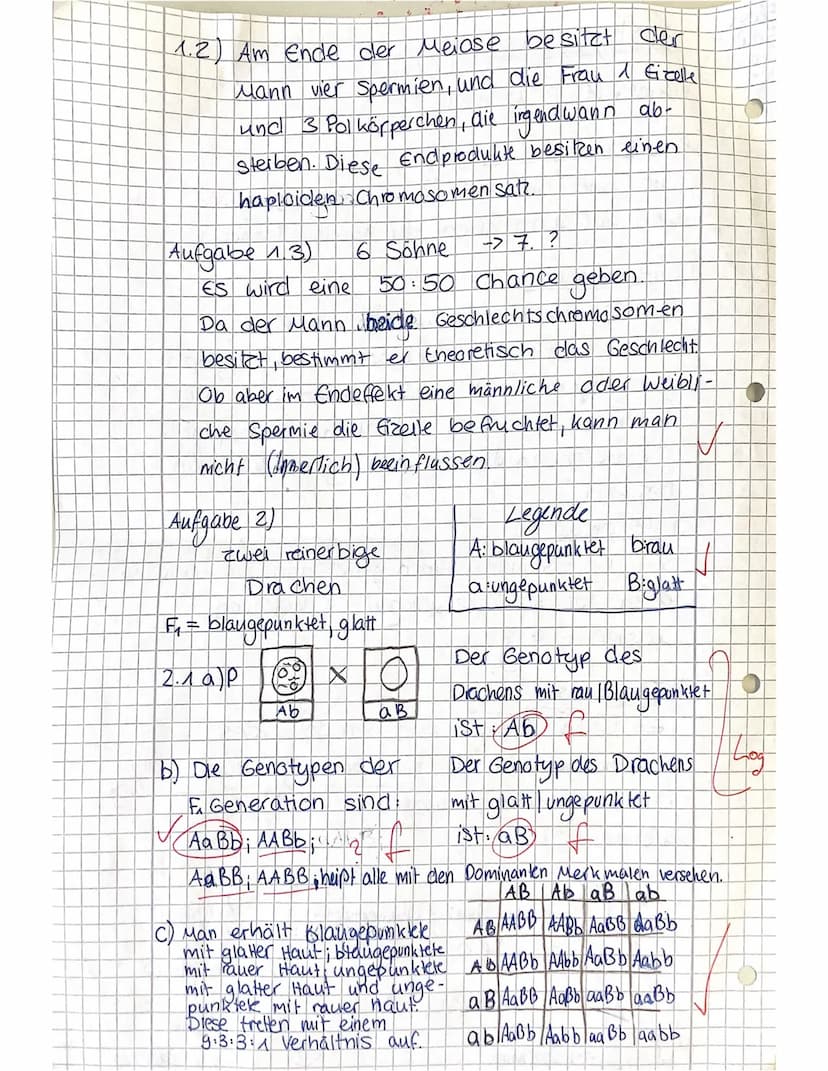 Name: Elisa Grobler
JS 1/1
4stündig
Aufgabe
VP
1.1 1.2
4
a)
1.3
c)
Biologie KA Nr. 1
2.2
2
2.1
2 2
7
erreichte VP 2,52 25 15,5
3.1
6
Aufgabe