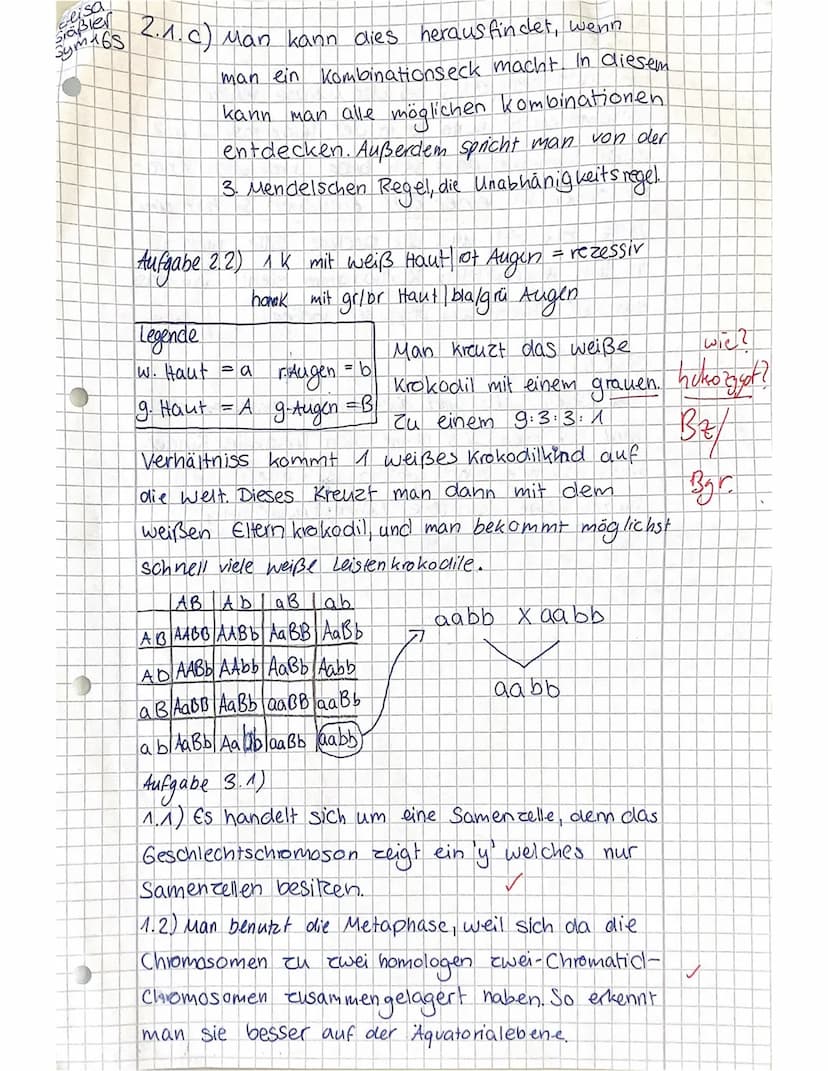 Name: Elisa Grobler
JS 1/1
4stündig
Aufgabe
VP
1.1 1.2
4
a)
1.3
c)
Biologie KA Nr. 1
2.2
2
2.1
2 2
7
erreichte VP 2,52 25 15,5
3.1
6
Aufgabe