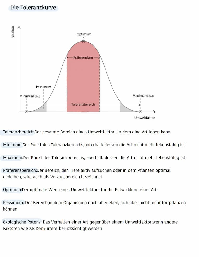 Ökologie
Ökosystem
Biotop
(Lebensraum einer
Artengemeinschaft)
besteht aus :
- Niederschlag
- Wind
Abiotische Umweltfaktoren
Biozönose
(Arte