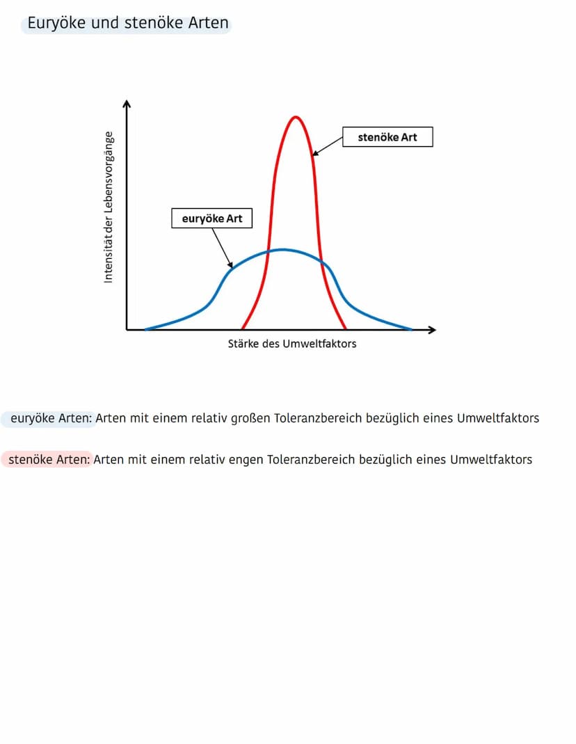 Ökologie
Ökosystem
Biotop
(Lebensraum einer
Artengemeinschaft)
besteht aus :
- Niederschlag
- Wind
Abiotische Umweltfaktoren
Biozönose
(Arte
