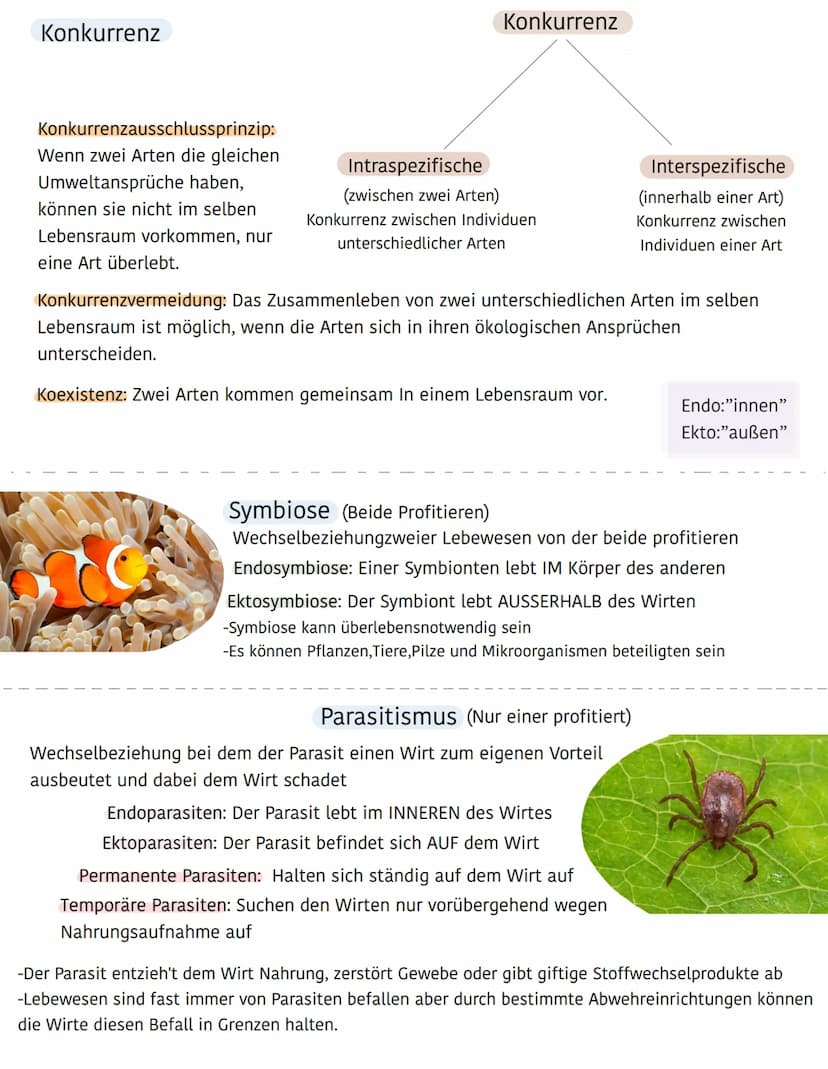 Ökologie
Ökosystem
Biotop
(Lebensraum einer
Artengemeinschaft)
besteht aus :
- Niederschlag
- Wind
Abiotische Umweltfaktoren
Biozönose
(Arte