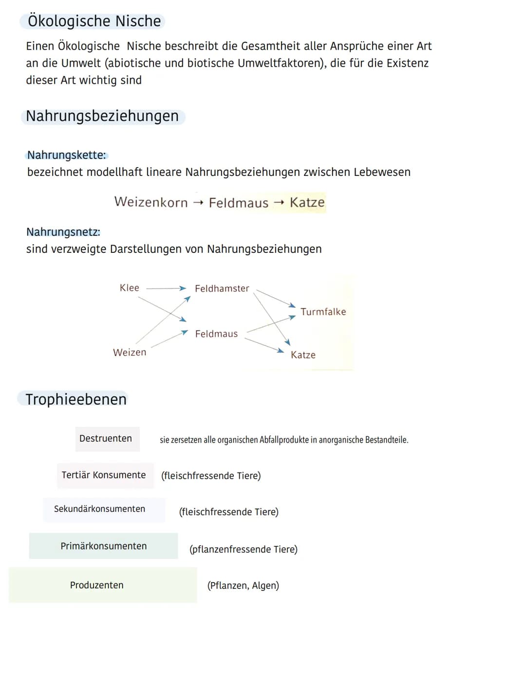 Ökologie
Ökosystem
Biotop
(Lebensraum einer
Artengemeinschaft)
besteht aus :
- Niederschlag
- Wind
Abiotische Umweltfaktoren
Biozönose
(Arte