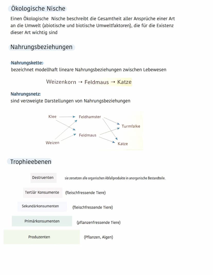 Ökologie
Ökosystem
Biotop
(Lebensraum einer
Artengemeinschaft)
besteht aus :
- Niederschlag
- Wind
Abiotische Umweltfaktoren
Biozönose
(Arte