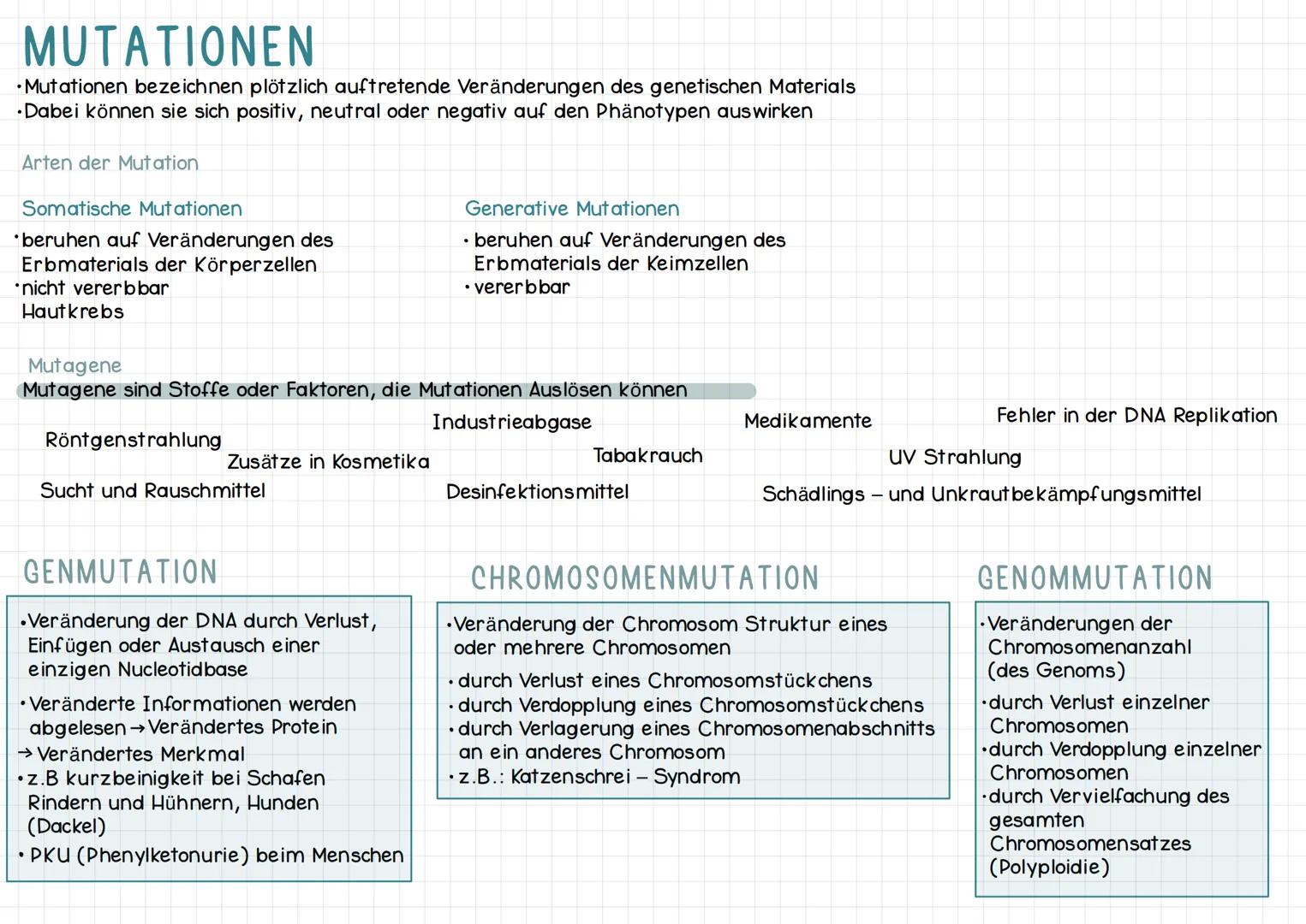 # MUTATIONEN
• Mutationen bezeichnen plötzlich auftretende Veränderungen des genetischen Materials
•Dabei können sie sich positiv, neutral o