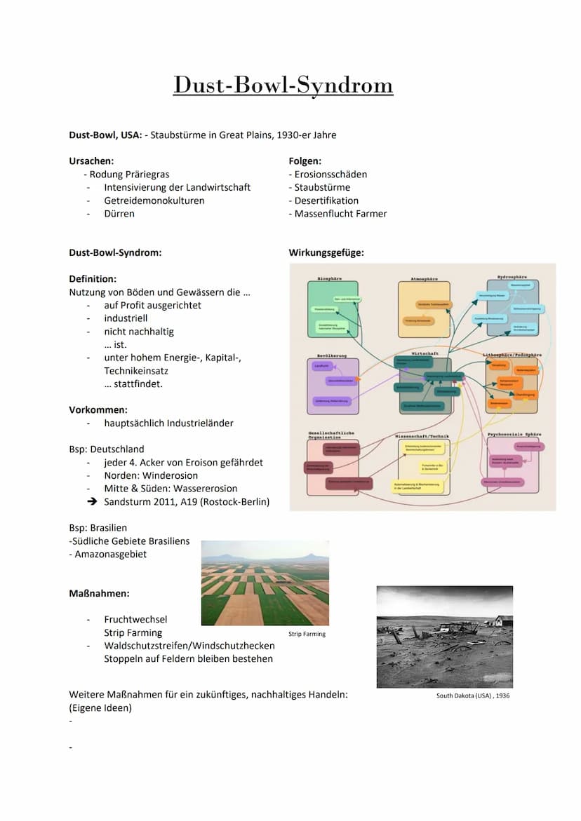 Das ,,Dust-Bowl-
Syndrom"
South Dakota 1936 Gliederung:
1. Namensgebung
2. Dust-Bowl USA
2.1. Ursache
2.2. Folgen
3. Dust-Bowl-Syndrom
3.1. 