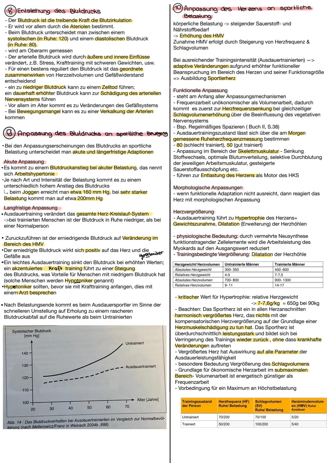 Herz- und Blutkreislauf
allg. Grundlagen zum Herz-Kreislaufsystem
• verbindet alle Körperorgane zu einer funktionellen Einheit
Versorgung de