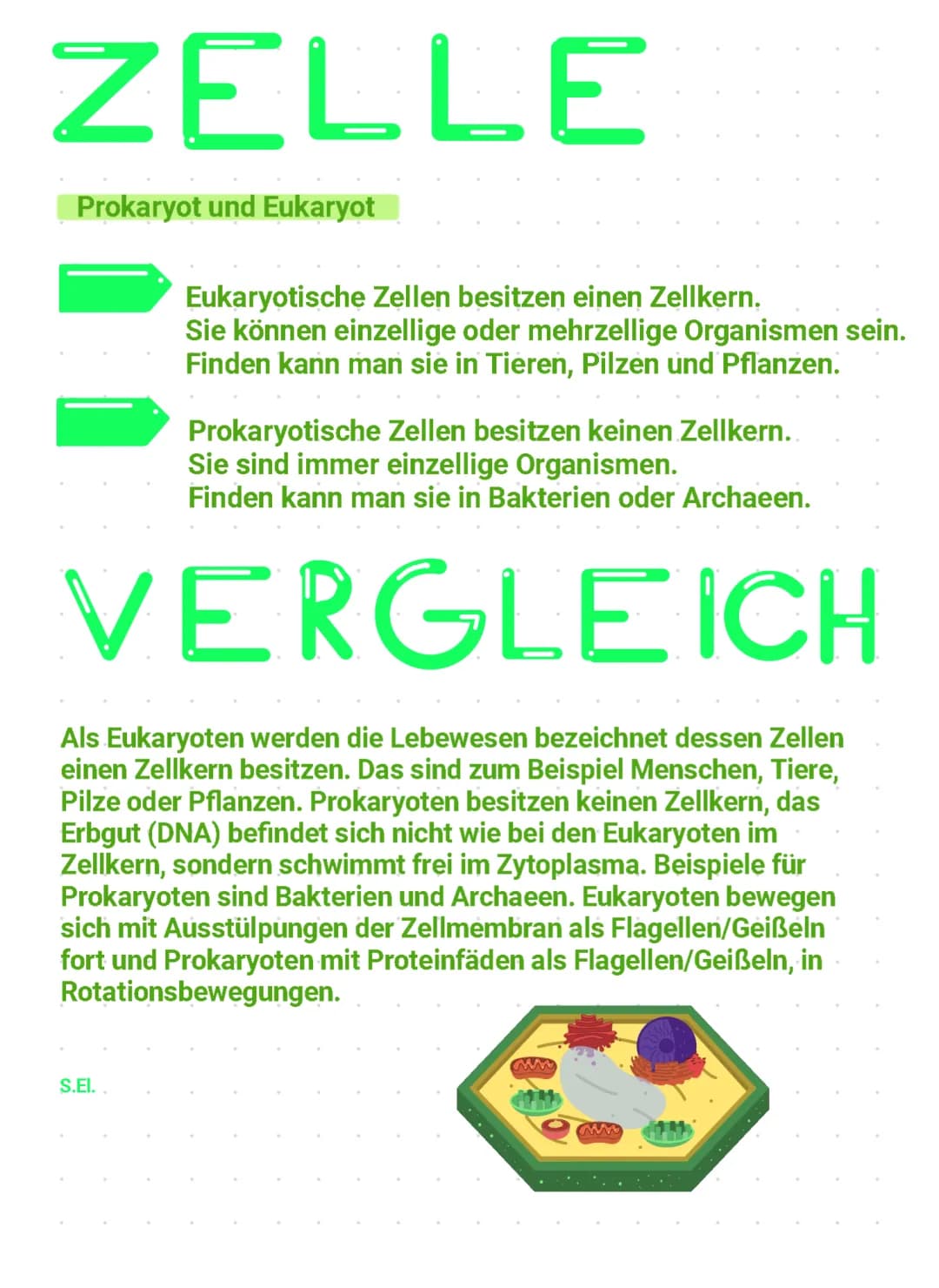 Zellarten
