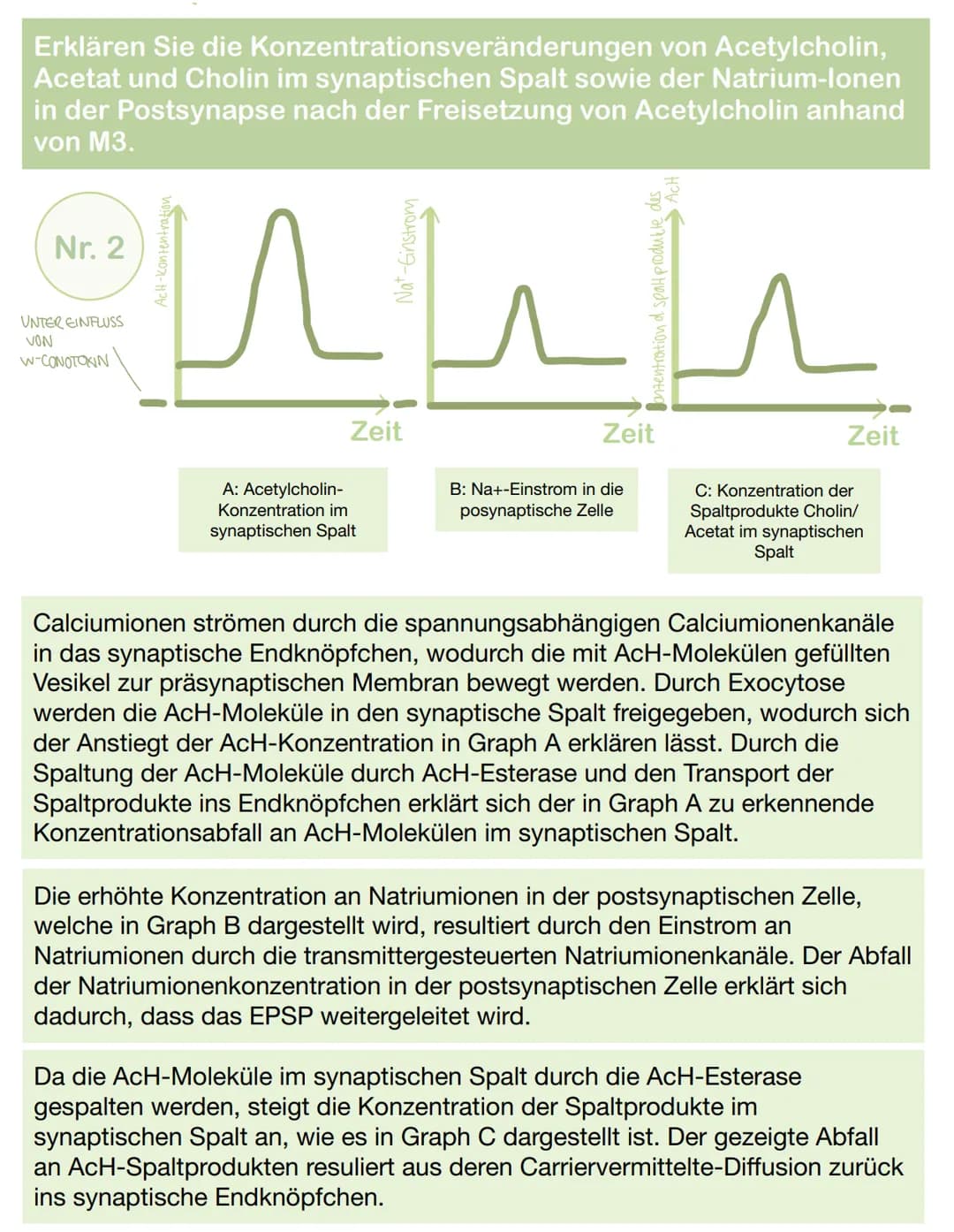 Fließdiagramm zur Wirkung von w-Conotoxin
Nr. 1
Entstehung eines Aktionspotentials
Erregungsweiterleitung
AP erreicht das Endknöpfchen
W-Con