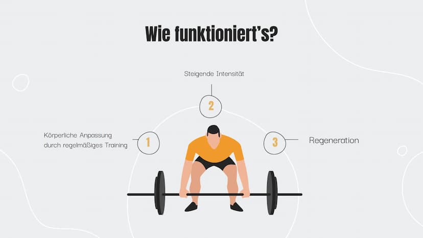 Zirkeltraining-
Kraftausdauer-Workout
Von Franz, Luis und Freddy
Q2 SP-GK4
0 Ablauf
1. Einführung Fitness
Was ist Fitness?
2. Theorie
Was is