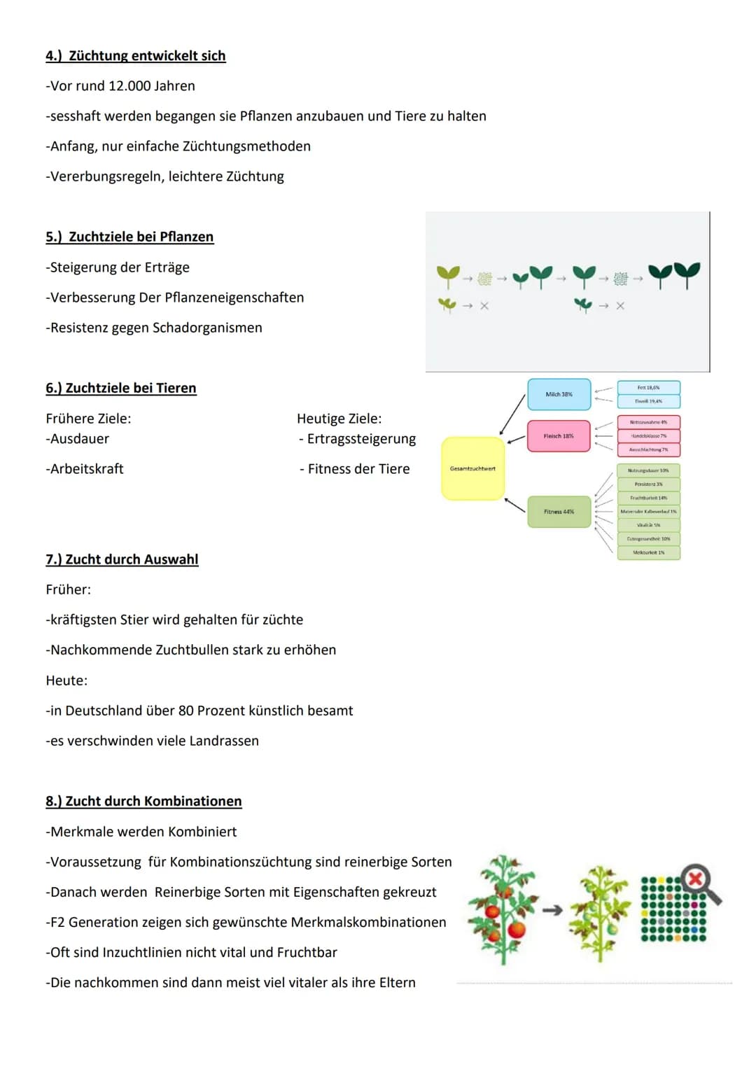 11 554
Tier und Pflanzenzucht
e
000.00 Name der Schule
Biologie 10/23
Fachlehrer:
Name :
1.) Was ist Züchtung
- künstliche Auswahl
- kontrol
