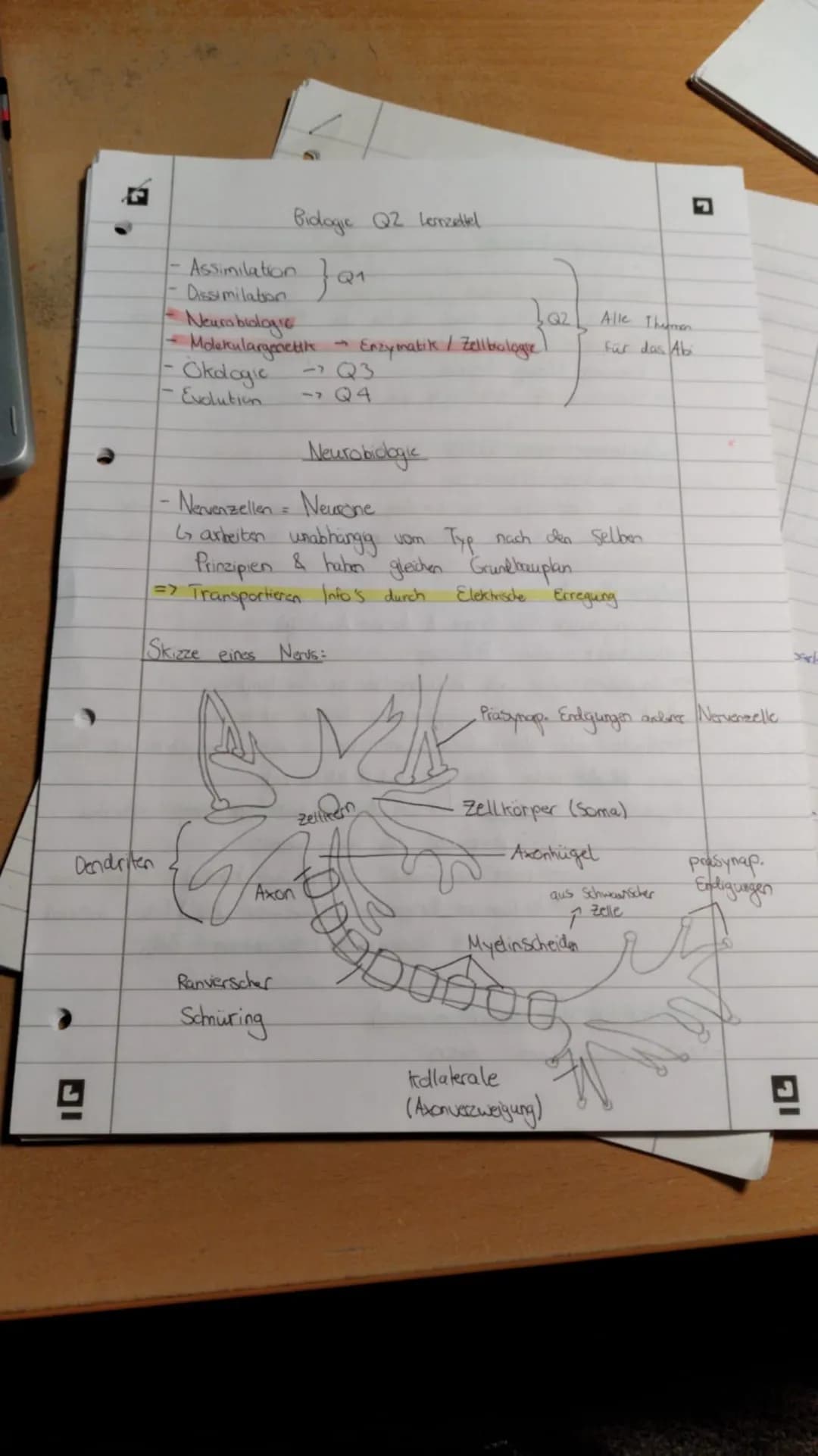 Biologie Lernzettel Q3 (stand: 25.10.2020) Biologie Lernzettel Q1 Biologie Lernzettel Q2 Biologie Lemn zettel Q3
- Okologie: Wichtige Begrif
