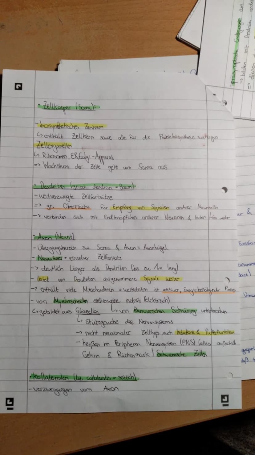 Biologie Lernzettel Q3 (stand: 25.10.2020) Biologie Lernzettel Q1 Biologie Lernzettel Q2 Biologie Lemn zettel Q3
- Okologie: Wichtige Begrif