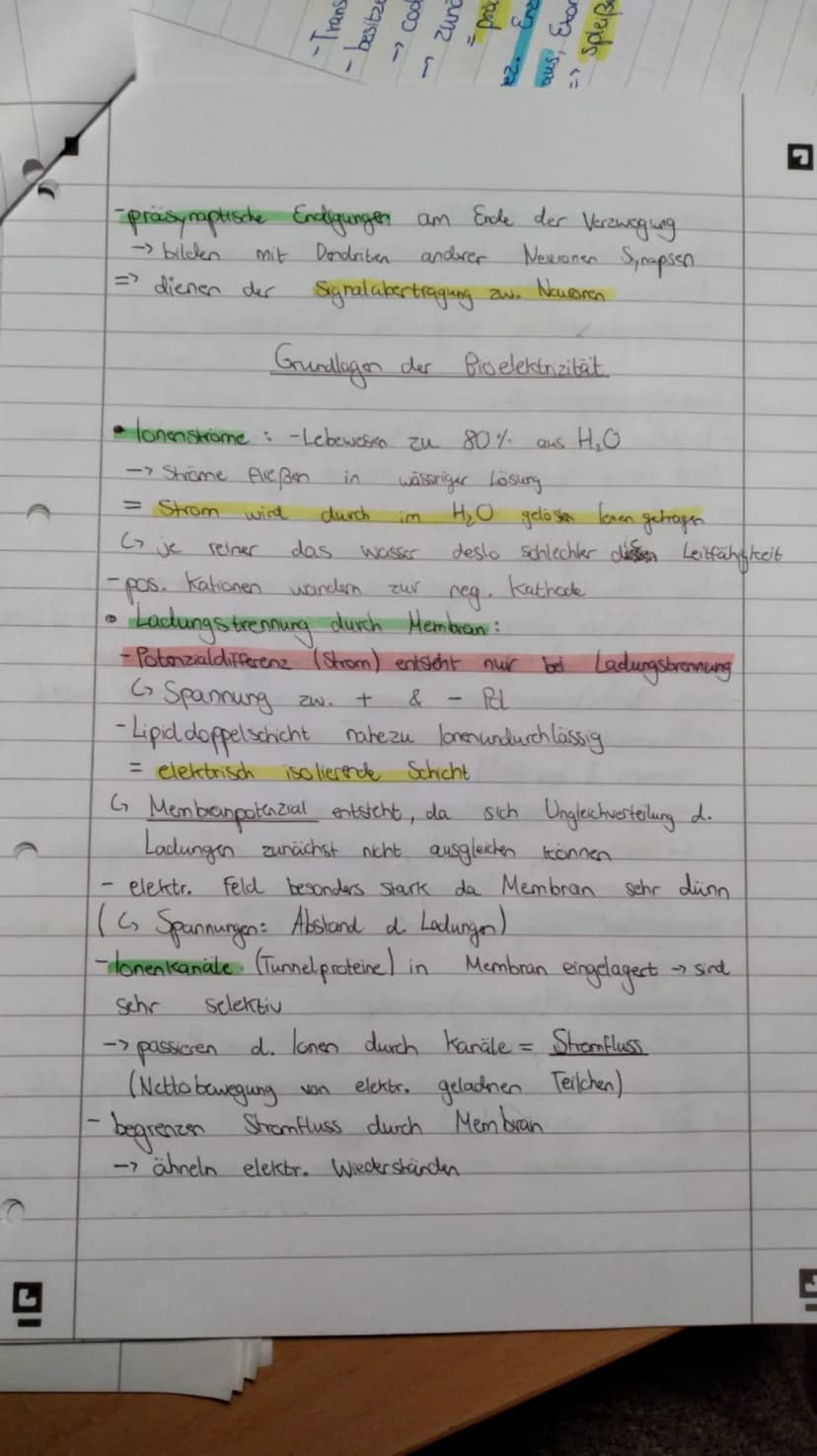 Biologie Lernzettel Q3 (stand: 25.10.2020) Biologie Lernzettel Q1 Biologie Lernzettel Q2 Biologie Lemn zettel Q3
- Okologie: Wichtige Begrif