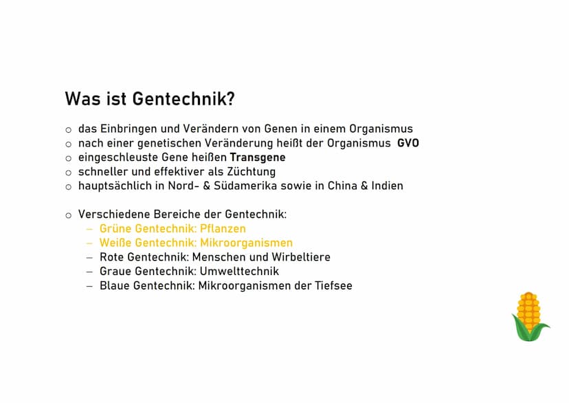 Genetisch veränderte
Lebensmitte! Schuljahr 2018/19
Genetisch veränderte Lebensmittel
Was ist Gentechnik?
Biologie, Klasse 10
O nach einer g