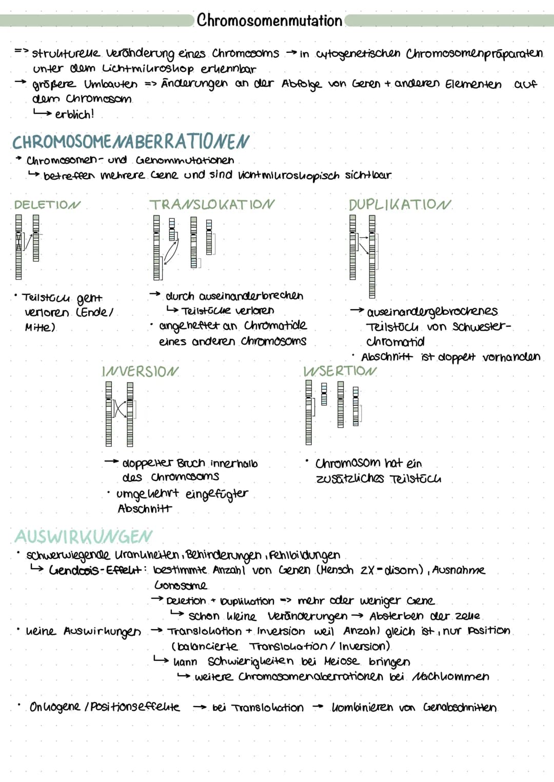 Chromosomenmutation
=> strukturele veränderung eines. Chromosoms → in cytogenetischen Chromosomenpräparaten.
unter dem Lichtmikroshop erkenn