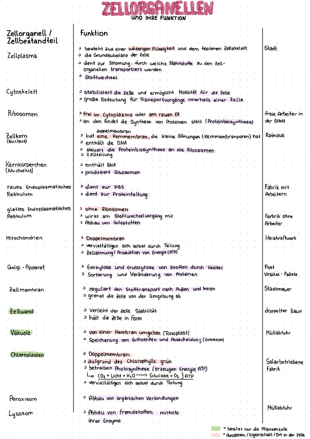 Zellorganellen